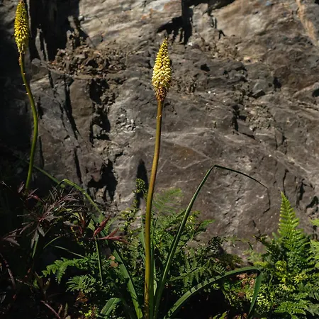 بيت ضيافة Native 3*